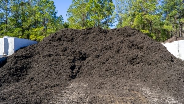 mound of black mulch