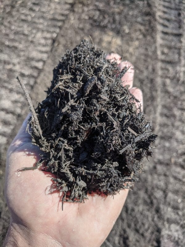 black mulch in hand for scale and detail