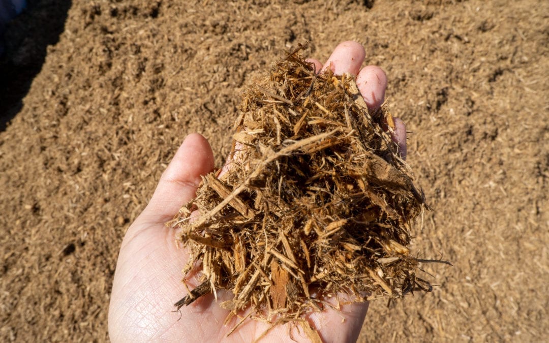 What is Mulch and What Does It Do?
