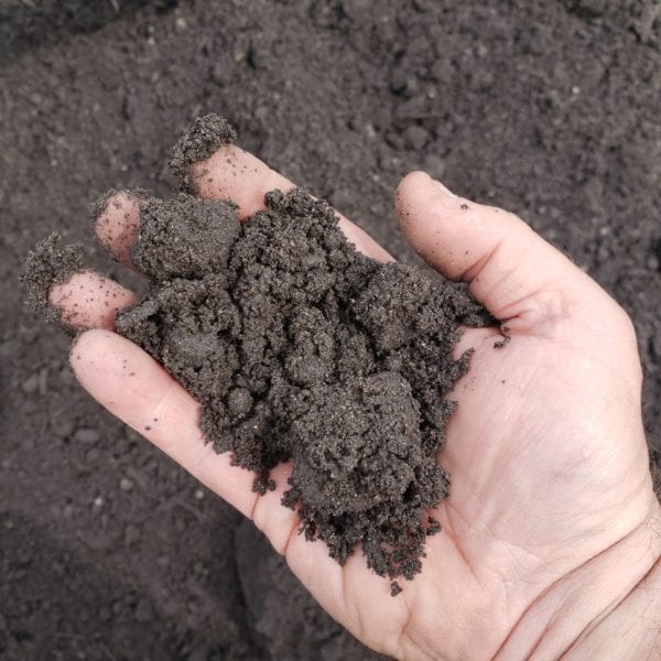 top fill dirt in hand for scale and detail