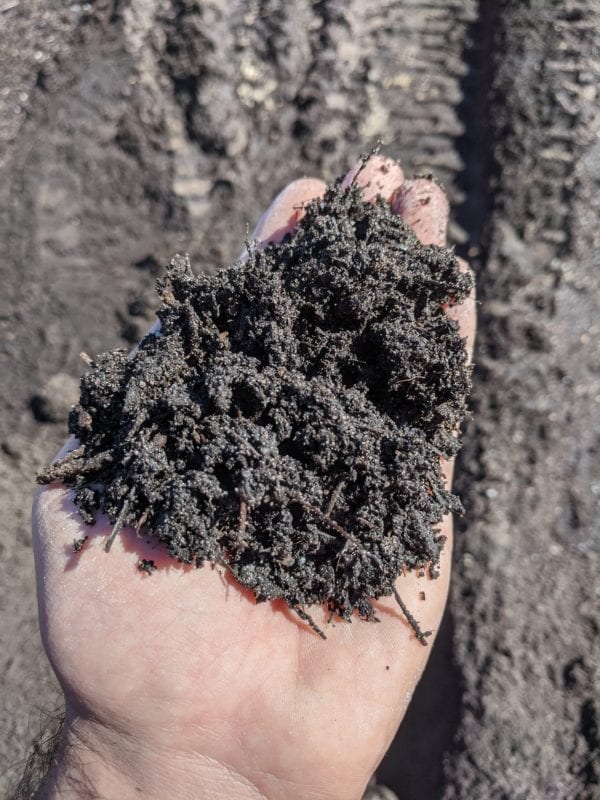 dark topsoil in hand for scale